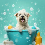 Dog in a tub with bubbles